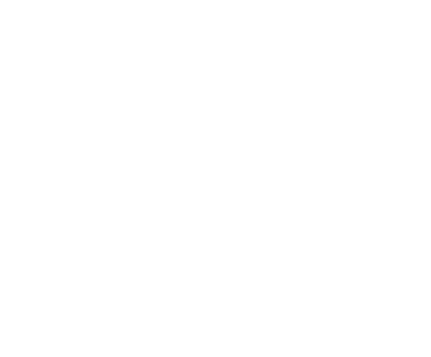 5VE Logo White